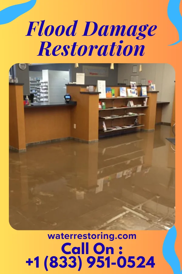 Flood Damage Restoration in Marion, TX